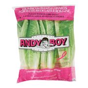 Romaine Lettuce Hearts