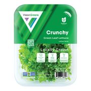 Green Lettuce