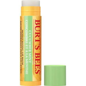 Burt's Bees 100% Natural Origin Moisturizing Lip Balm, Cucumber Mint -, 1 Tube