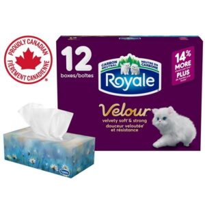 Royale Velour Facial Tissue, 12 Flat Boxes, 82 Tissues per box, 3-Ply, 984 Tissues